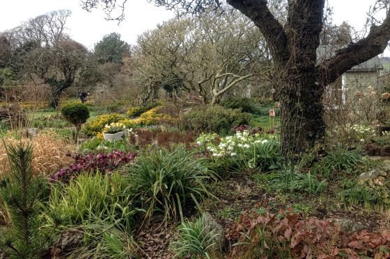 Broughton House Garden in Kirkcudbright