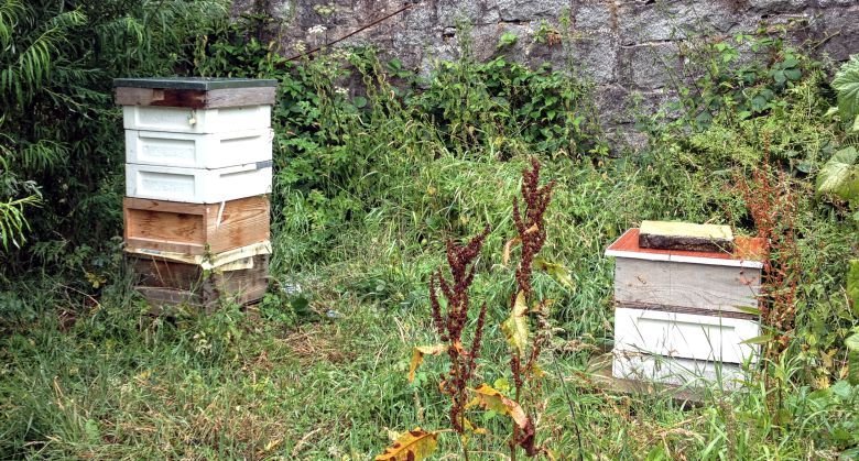 Beehives In The Walled Garden At Kirkennan Estate Holiday Cottages