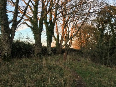 Inland path for section of southerness to carsethorn walk