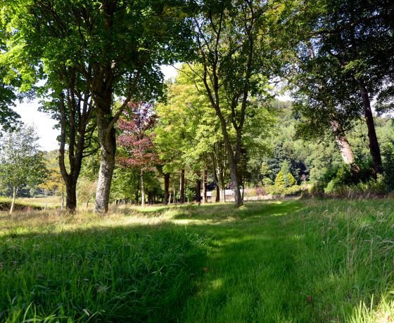 arboretum kirkennan holiday cottages, Palnackie