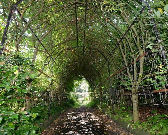 Walled garden Kirkennan Estate, Palnackie