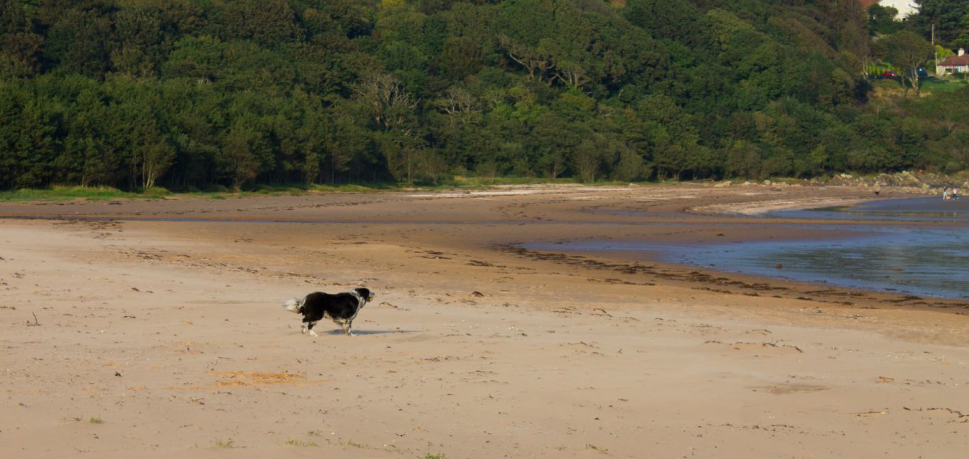 Beaches near dog friendly self catering cottages in Scotland