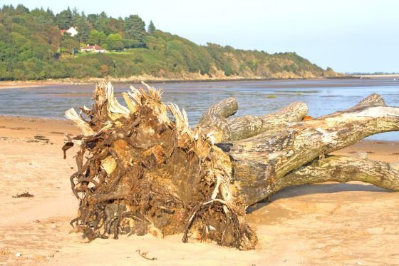 sandyhills dog friendly sandy beach near kippford on the Solway Coast