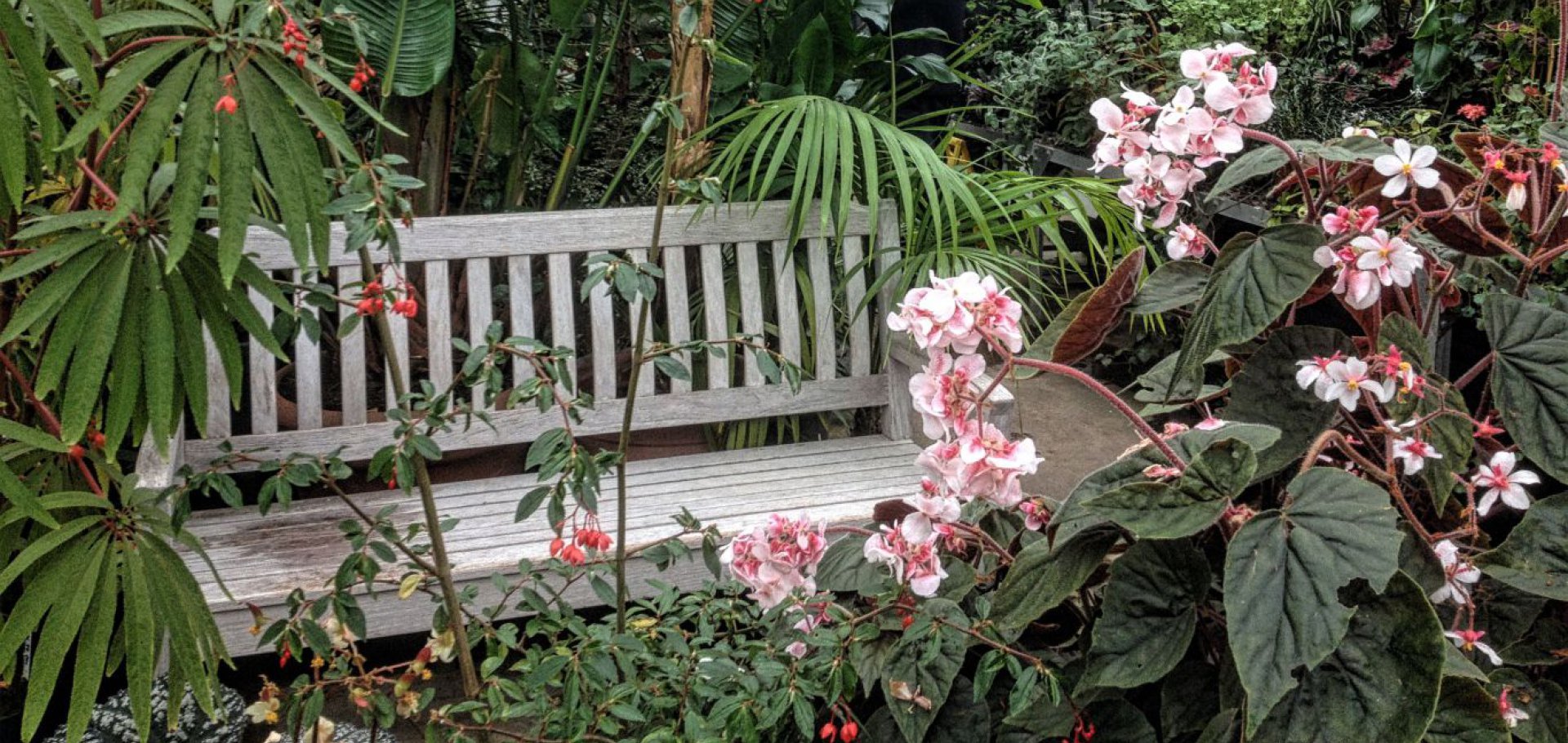 Threave gardens outside Castle Douglas, South Scotland are worth visiting anytime of year