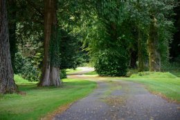 The landscaped gardens have roads suitable for wheelchairs, pushchairs or beginner cyclists