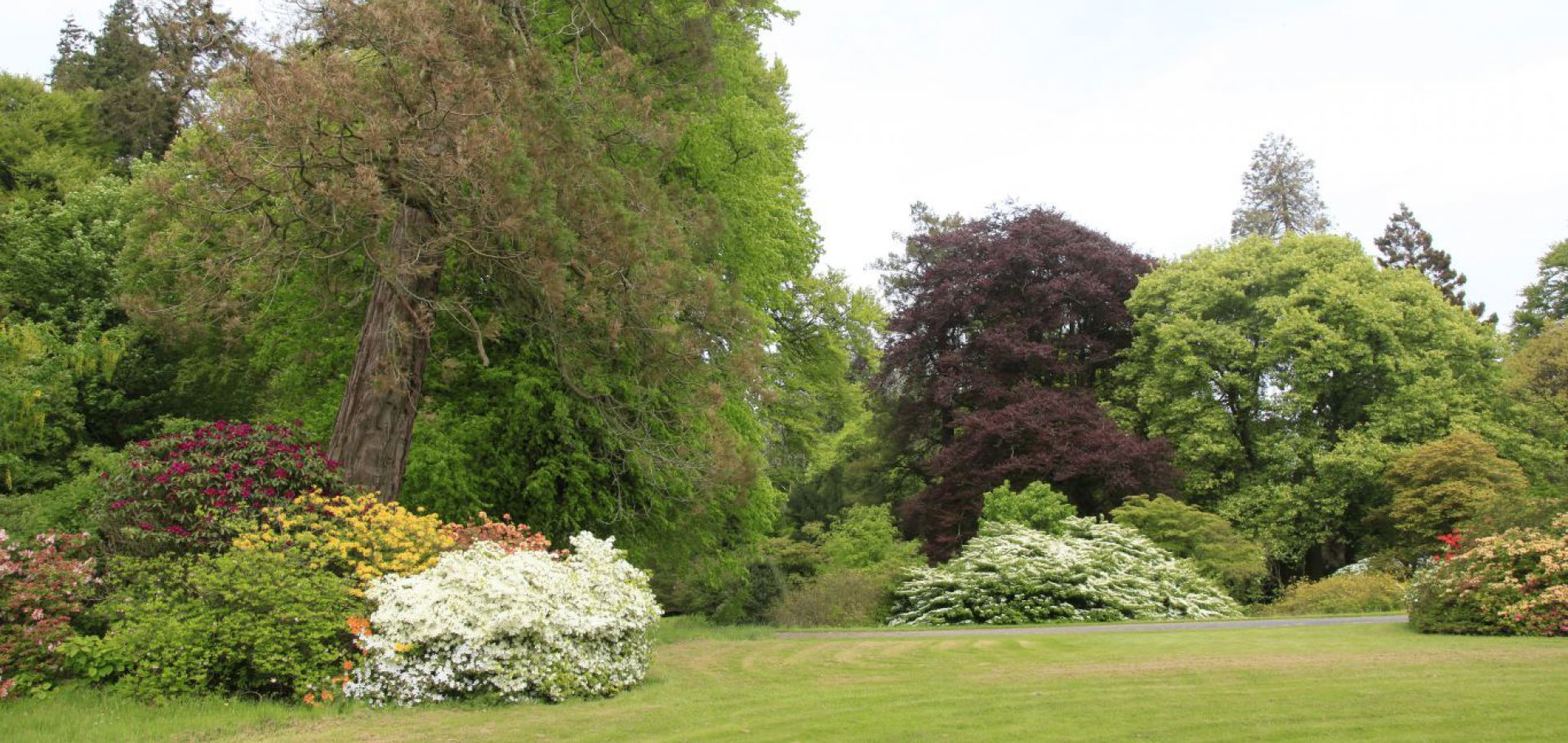 colour in may