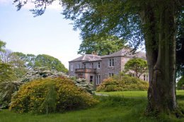 The Estate gardens in May
