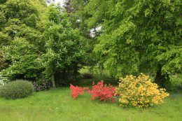 The Estate gardens can be enjoyed by guests