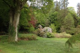 Mature trees and shrubs make the gardens pleasant to explore