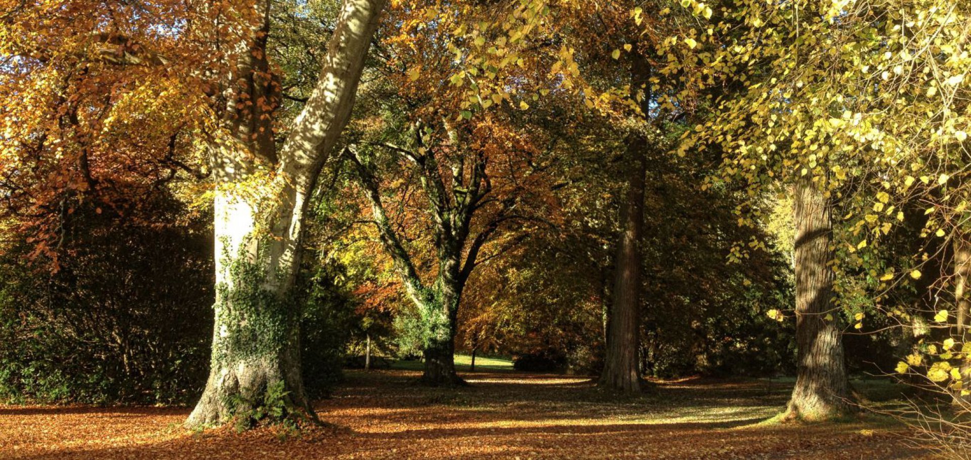 kirkennan gardens in autumn