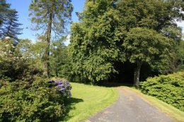 The gardens in May