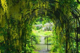 entrance to walled garden