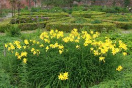 kirkennan walled garden in june