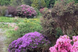 kirkennan walled garden in may