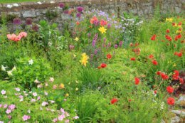walled garden in june