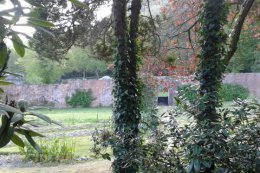 walled garden vegetable section