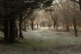 It is a beautiful spot at all times of year
