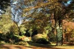 In autumn the gardens are a mass of colour.
