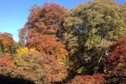 An autumn walk around the landscaped gardens has plenty of variety.