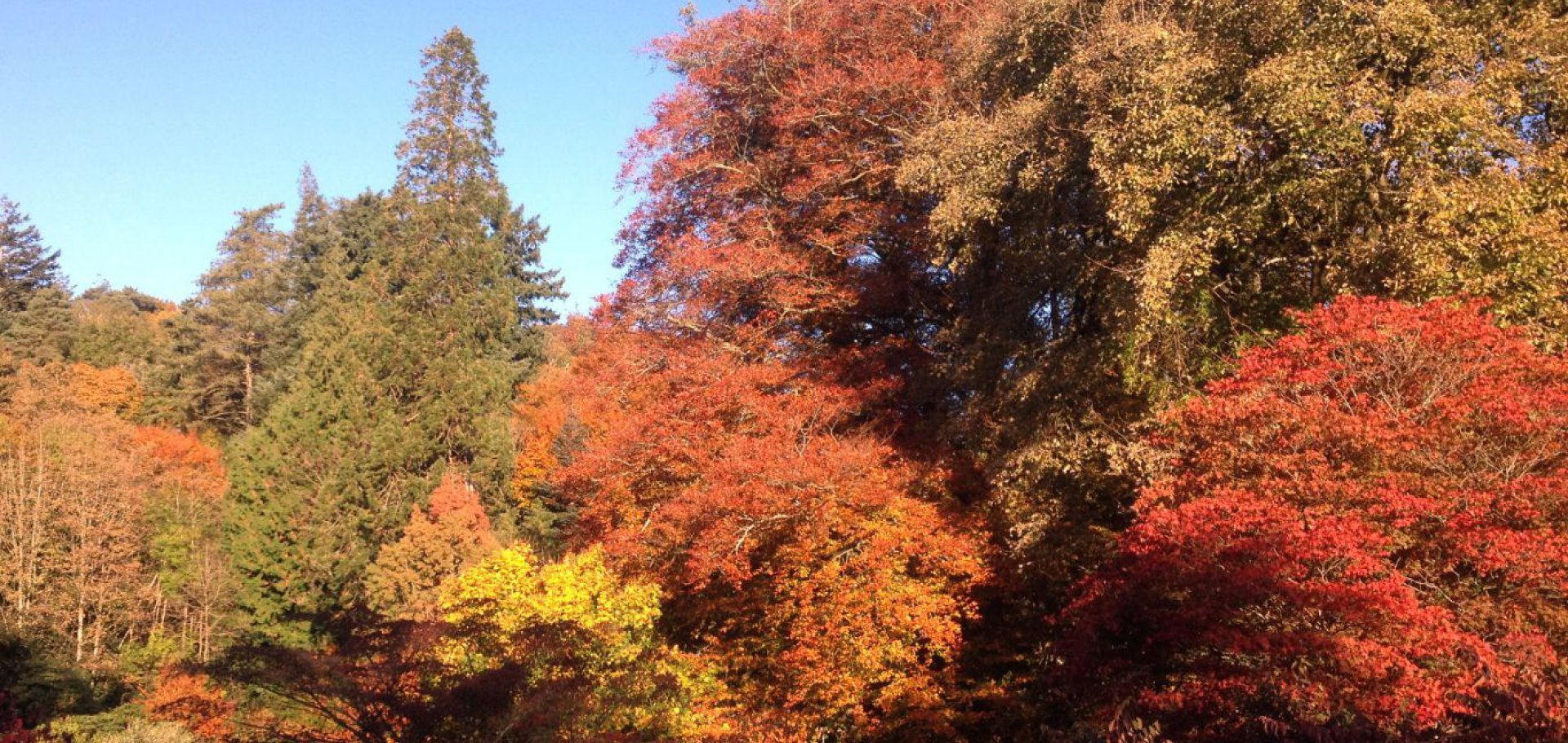 Kirkennan self-catering cottages in autumn