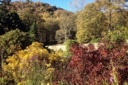 The sheltered walled garden can also be enjoyed in autumn.