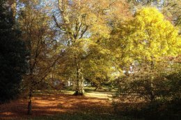 A November day in 2016
