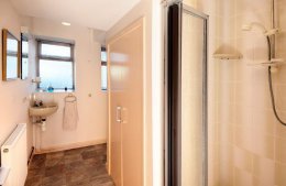 The downstairs shower/toilet/sink provides additional facilities.