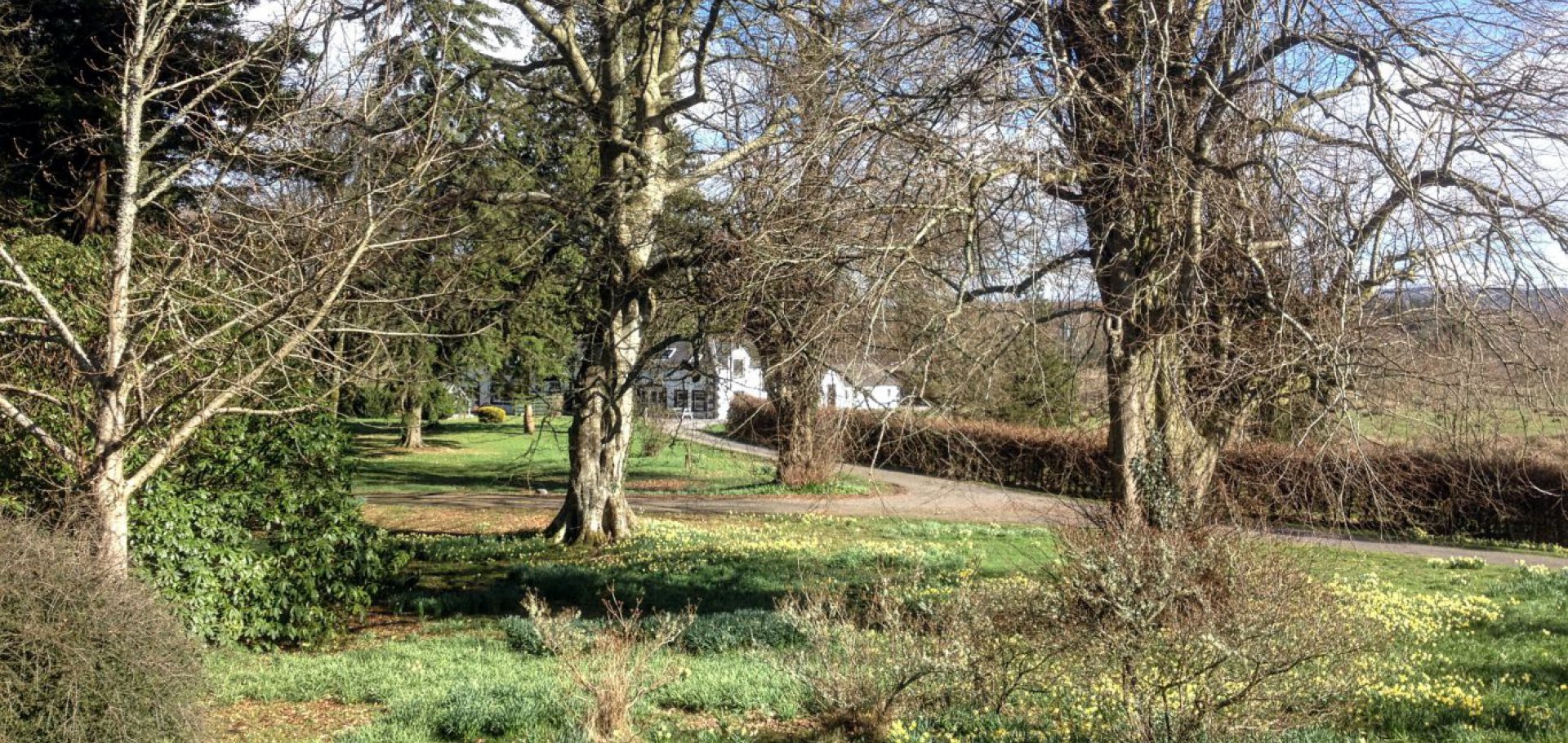The Mews glimpsed through the trees and daffodils in Spring - see our last minute special offers