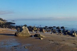 Nearby coast in February.