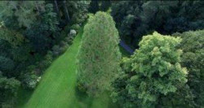 Kirkennan Estate Holiday Cottages Castle Douglas Aerial Giant Squoia