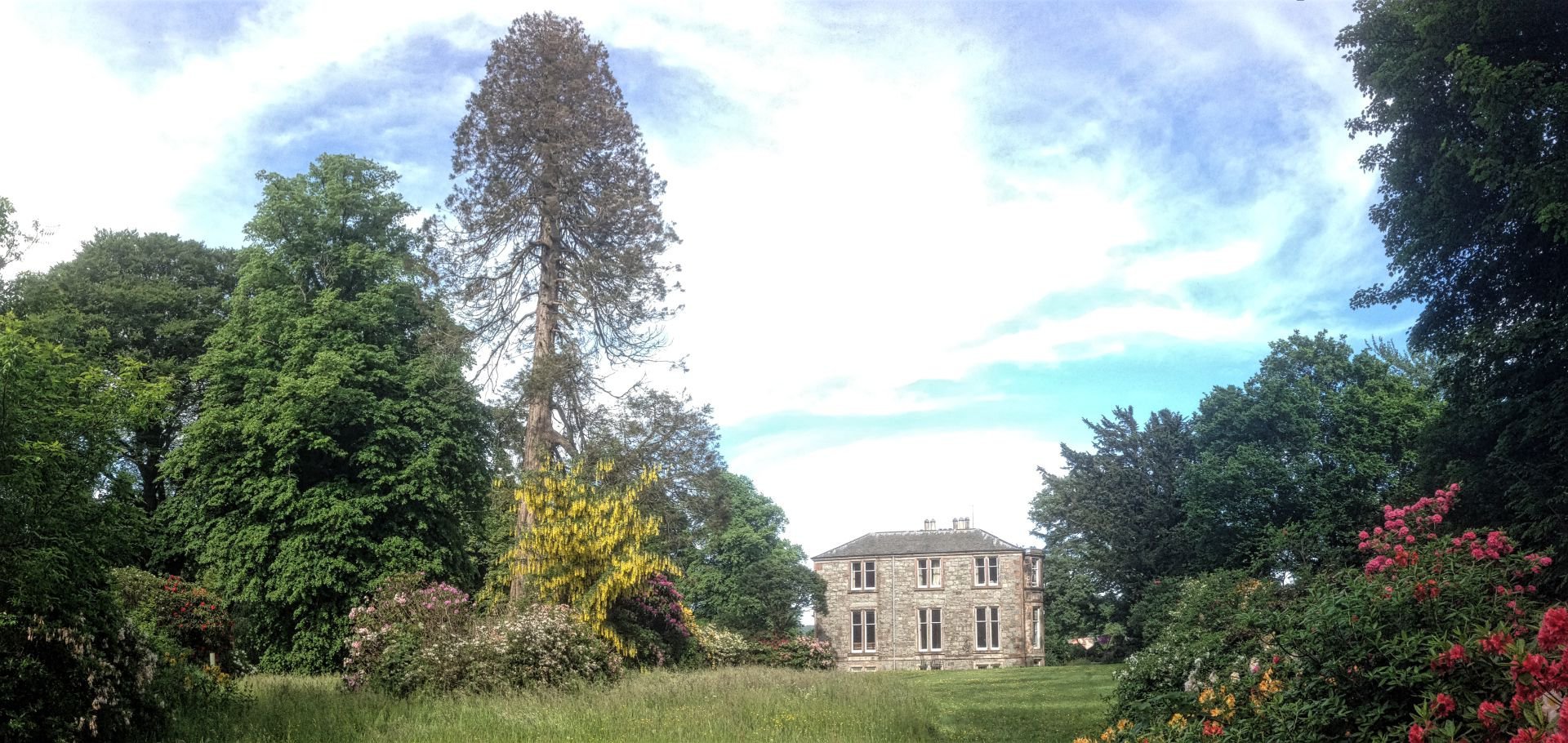 Kirkennan Estate Holiday Cottages Castle Douglas Giant Sequoia