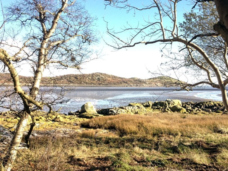 Emerge through the trees to Torr Point