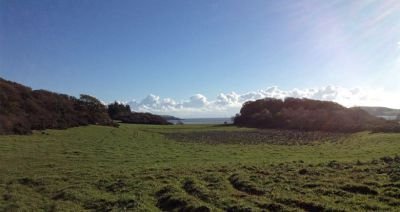 Cross field to get to Red Haan beach walk to torr point dumfries and galloway