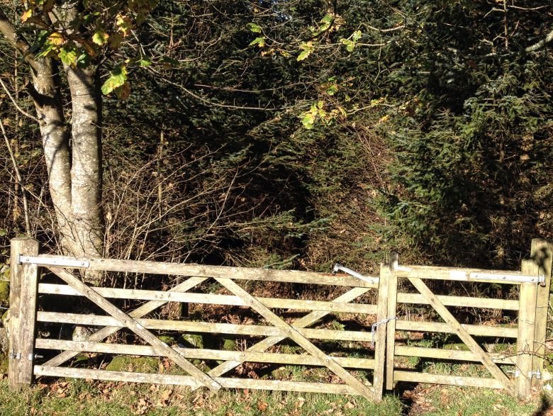 Gate into woodland return from Torr Point