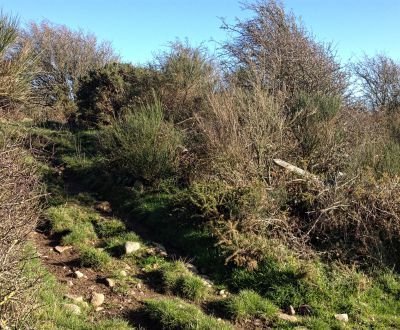 Turn for return path torr point