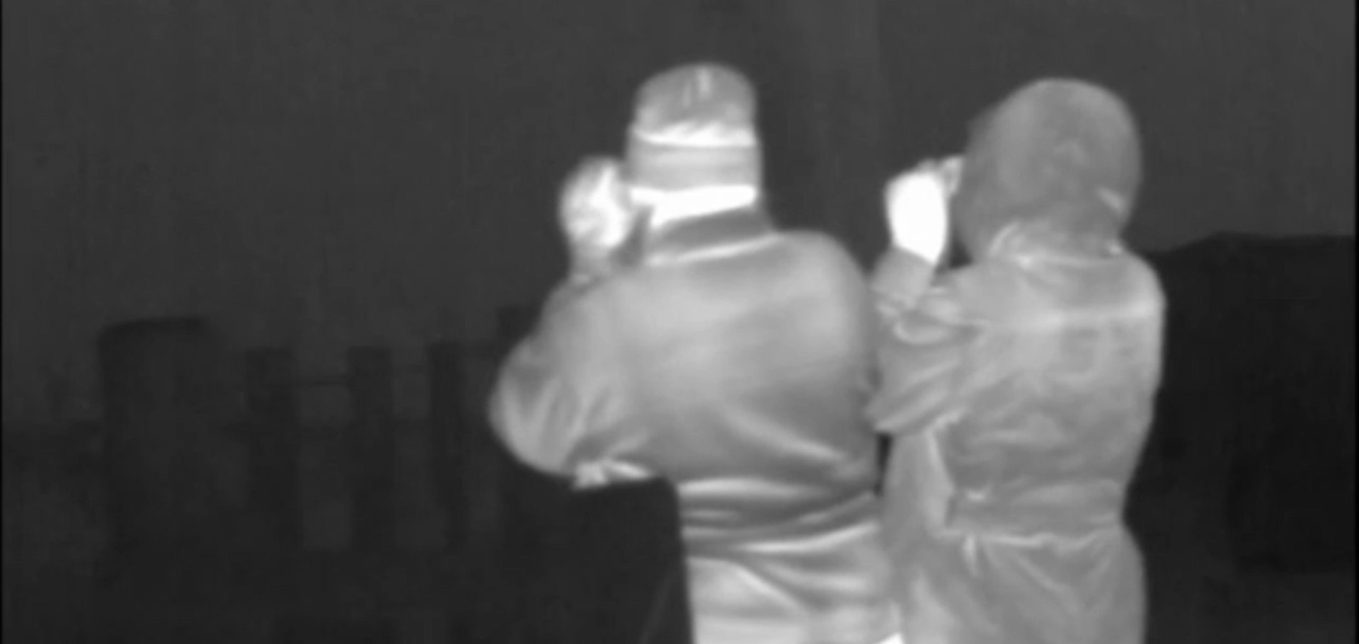 Nocturnal Wildlife Experience Dumfries and Galloway