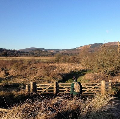 Gate into woodland rspb mersehead reserve dumfries and galloway