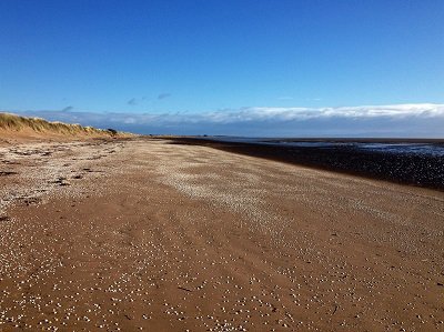 Route along beach mersehead to southerness walk dumfries and galloway
