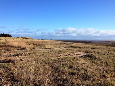 sea grass mersehead to southerness walk in dumfries and galloway