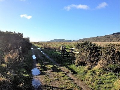 start or mersehead to southerness walk in dumfries and galloway