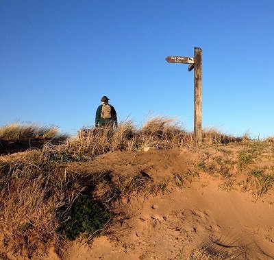 turn into rspb mersehead reserve dumfries and galloway