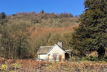 The Lodge Bird Survey