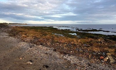 Shore front at Southerness