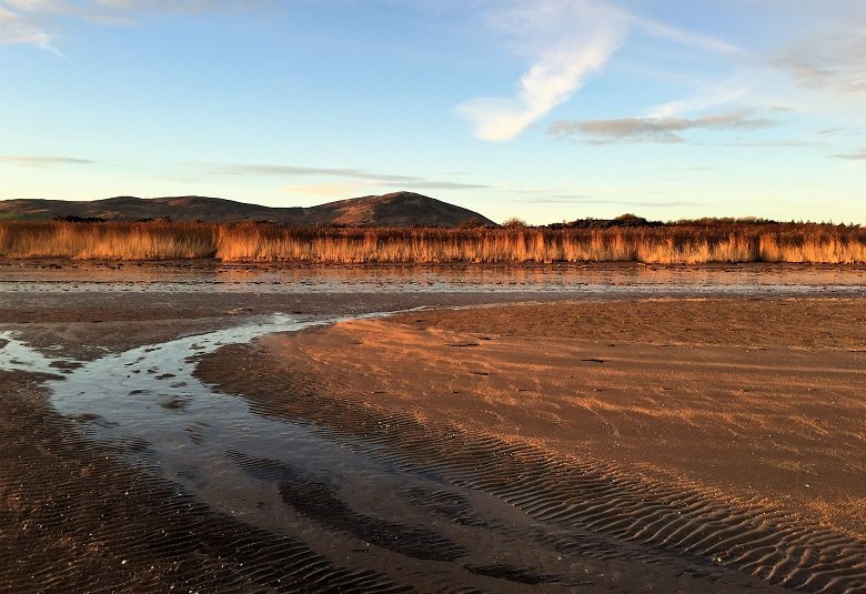 View of Criffel from the Solway shore