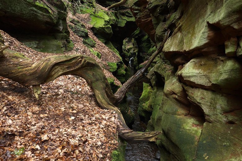 Sandstone Gorge Crichope Linn Dumfries and Galloway