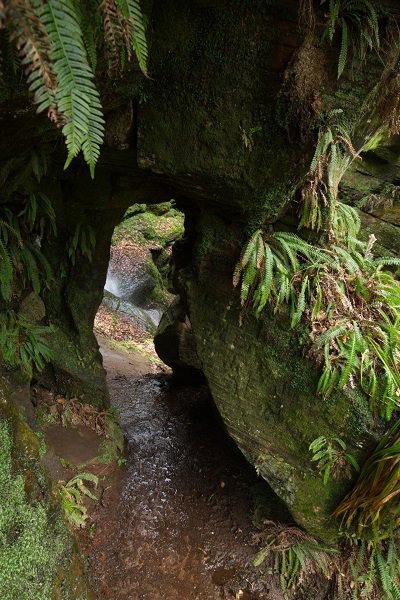 Natural Archway Crichope Linn Dumfries and Galloway