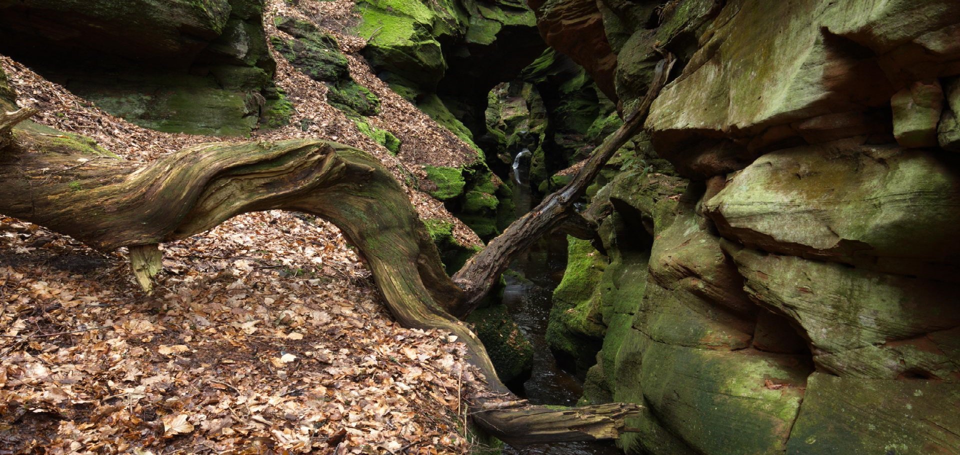 Crichope Linn Dumfries and Galloway