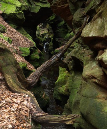 Crichope Linn