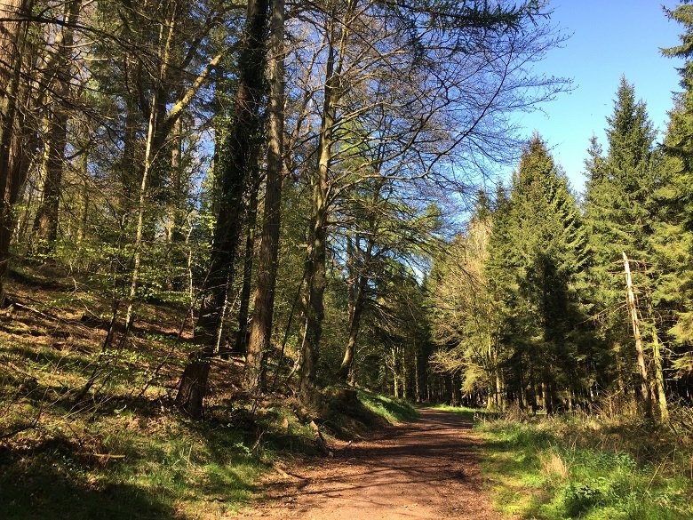 Main entrance to Kirkennan Woods opposite to Kirkennan Estate Holiday Cottages