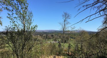 Kirkennan woods short loop